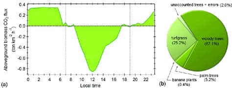 A Diurnal Pattern Of Aboveground Biomass Co 2 Flux Calculated As The