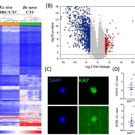 The Comprehensive Transcriptomic Analysis Of Ex Vivo Bmrcctc Vs De Download Scientific Diagram