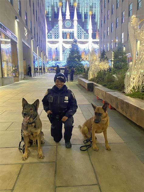 Nypd Th Precinct On Twitter Happy Nationalpuppyday