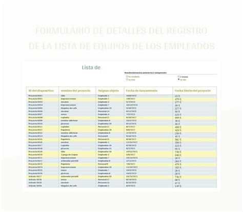 Plantilla De Formato Excel Formulario De Detalles Del Registro De La