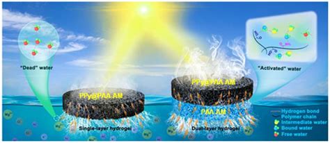 北京工业大学安全福团队CEJpH调控双层水凝胶膜蒸发器实现高效太阳能水净化 中国膜工业协会