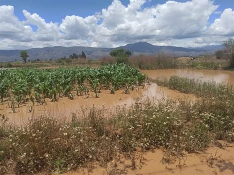 Defensa Civil Reporta Que Inundaciones En Cochabamba Afectaron A 32