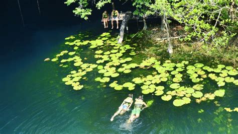 Tour Xenotes Oasis Maya Fantastic Travel