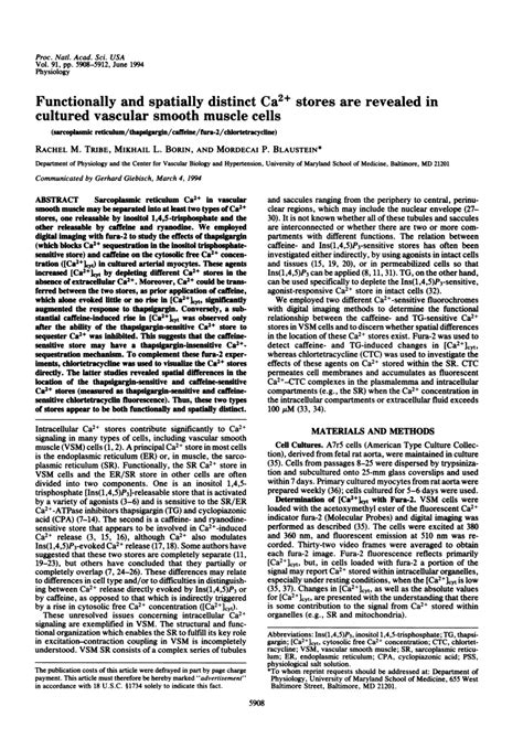 Pdf Functionally And Spatially Distinct Ca Stores Are Revealed In