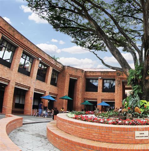 Inicio Saber Pro Universidad Icesi Cali Colombia