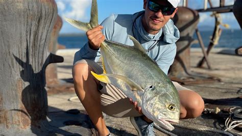 Live Bait Fishing Local Pier On Puerto Rico Pesca Con Carnada Viva En