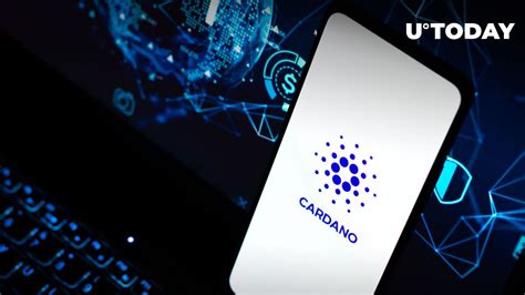 Cardano Network Activity Spikes On Ftx Crash Heres Detailed Insight