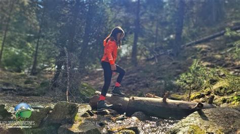 Explorando la Naturaleza con ASMR Un Recorrido de Montaña con Niños