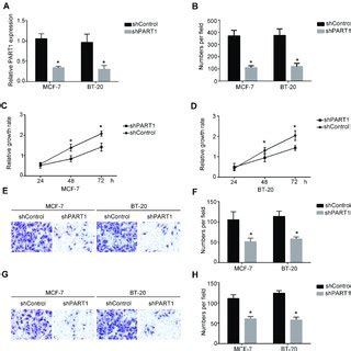 Knockdown Of Part Significantly Decreased Invasion And Migration Of