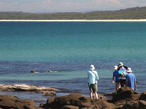 Broulee, NSW - Aussie Towns