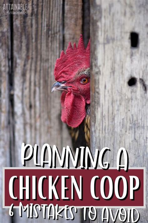 Chicken Coop Mistakes I Made And How To Avoid Them