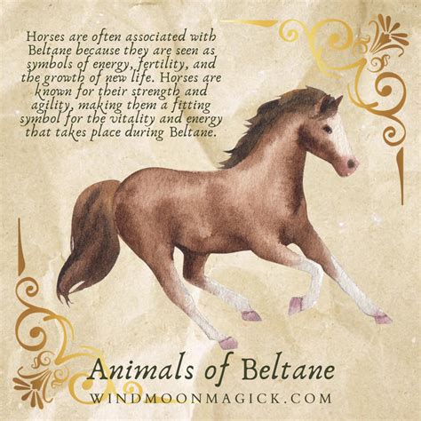 Animals of Beltane — Wind Moon Magick