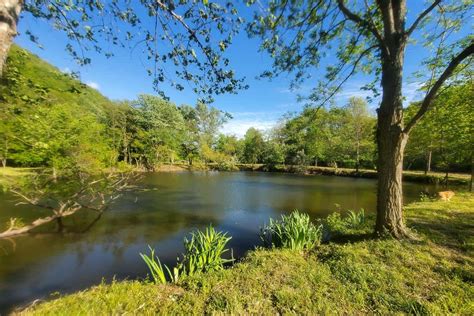 Free Camping at New River Gorge National Park - Champagne Tastes®