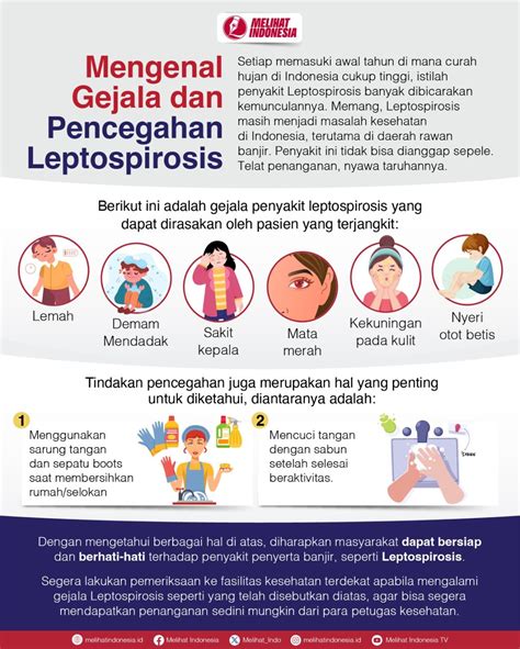 Leptospirosis Penyakit Yang Sering Muncul Saat Musim Hujan Kenali