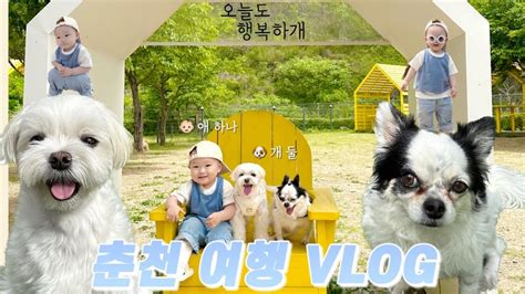 Vlog 육아 브이로그 애 하나 개 둘 어른 셋 춘천 여행기 👒 춘천이 애견동반 여행으로 이렇게 좋을 줄이야 ️