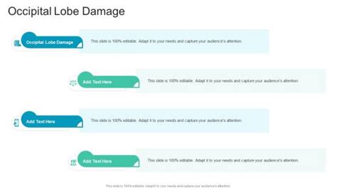 Occipital Lobe Damage PowerPoint templates, Slides and Graphics