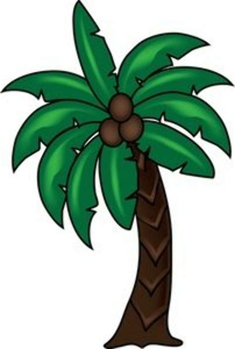 Download High Quality palm tree clipart coconut Transparent PNG Images ...