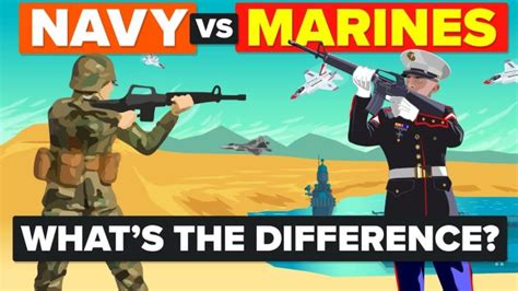 Video Infographic : US Navy vs US Marines - What's The Difference & How ...