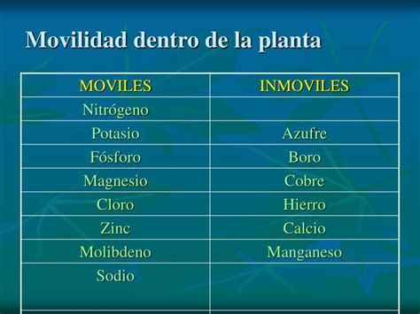 PPT Nutrición Mineral de las plantas PowerPoint Presentation free