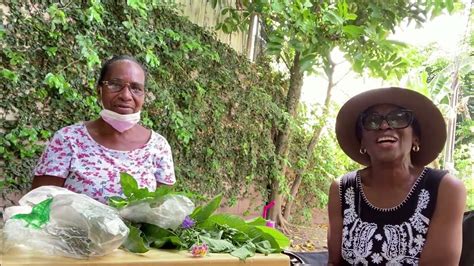 Backyard Talk With Miss Cissy The Herbalist Youtube