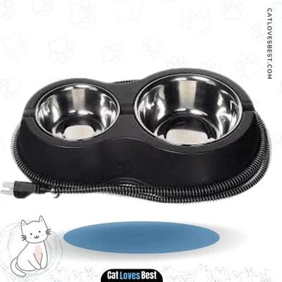 The 5 Best Heated Cat Water Bowls of 2022 - CatLovesBest