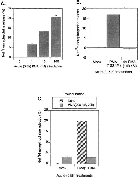 Effect Of Acute Activation Of Pkc On Catecholamine Secretion From Pc