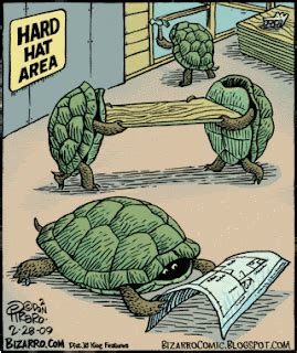 bilbos random thought collection cartoon saturday