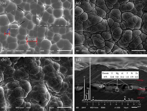 Sem Micrographs Of Ni P Coatings Obtained By Pickling In Various