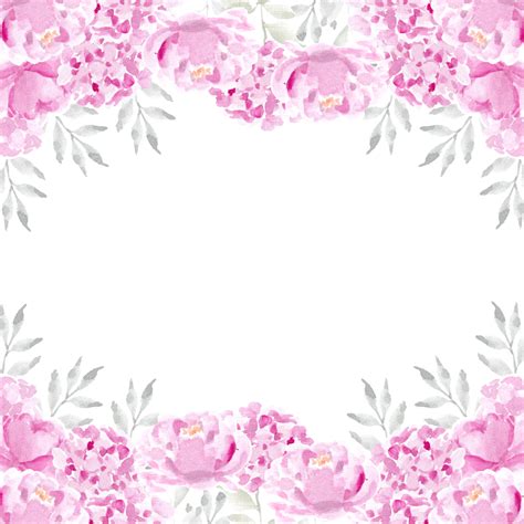 Marco De Flores Acuarela Rosa Rosa Y Hortensia Png Boda Floral Decoración Png Y Psd Para