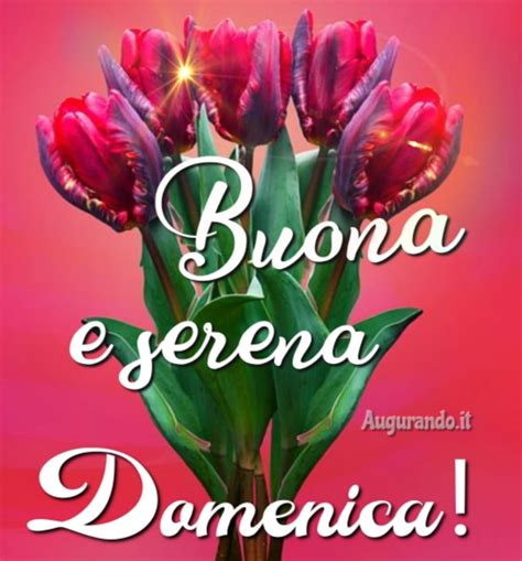 Immagini fantastiche per una buona domenica!