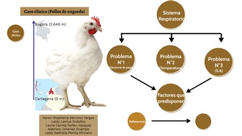 Ascitis Aviar By Laura Farfan On Prezi