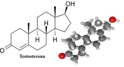 Simplesmente Química Composição e efeitos dos esteroides anabolizantes