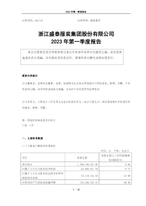 盛泰集团：2023年第一季度报告