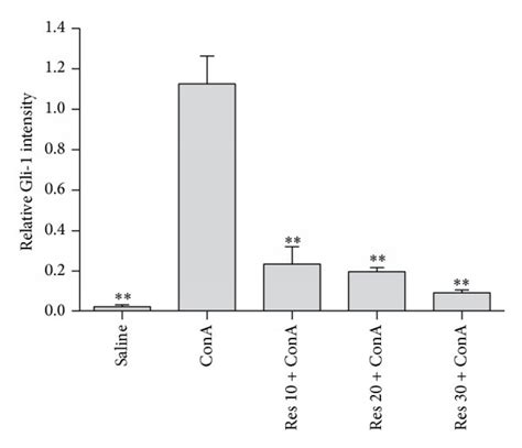 Immunohistochemistry Used To Detect The Expression Level Of Gli 1 And