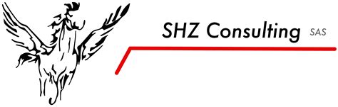 Shz Consulting Supports Professionals Of Aerospace And Defense Industry