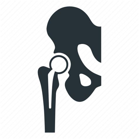 Bone Denture Hip Replacement Icon Download On Iconfinder