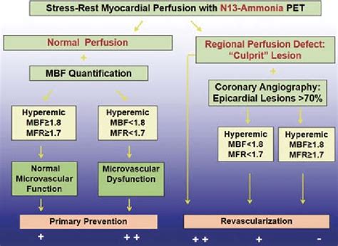 Algorithm For The Integration Of N Ammonia Pet Ct Perfusion Images