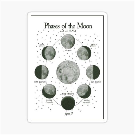 "Phases of The Moon - La Luna" Sticker for Sale by kausofvenus | Redbubble