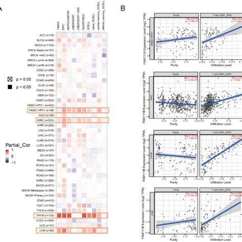 Correlation Analysis Between Fam B Expression And Cd T Cell