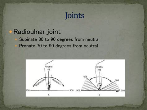 Elbow Joint X Ray Projections Ppt