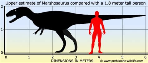 Marshosaurus Pictures & Facts - The Dinosaur Database