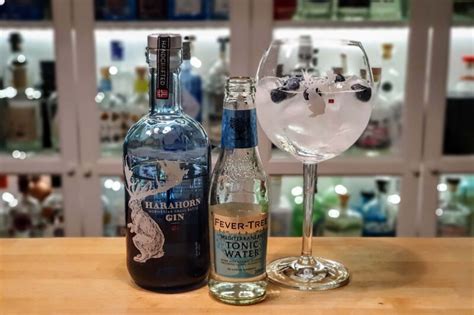 Blåbær Gin og Tonic med Harahorn Gin Alt om Gin