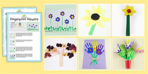 Plant Craft Activity Pack Arts And Crafts Teacher Made