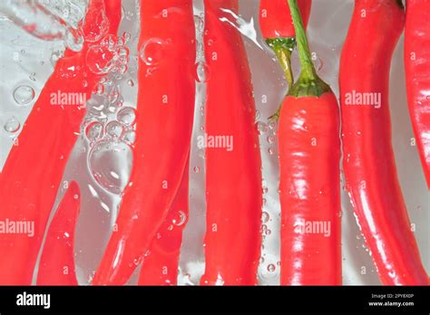 Close Up Of Hot Red Chilli Peppers On White Background Hot Red Chilli