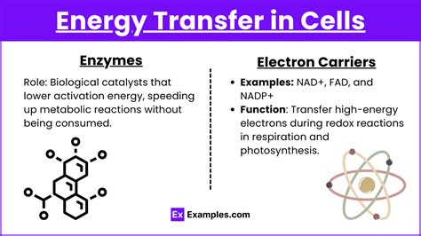 Unit 3 2 The Role Of Energy In Living Systems Notes And Practice