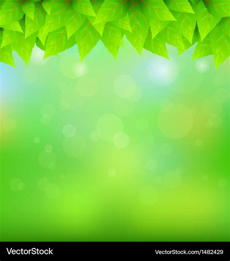 72 Background Green Background Images & Pictures - MyWeb