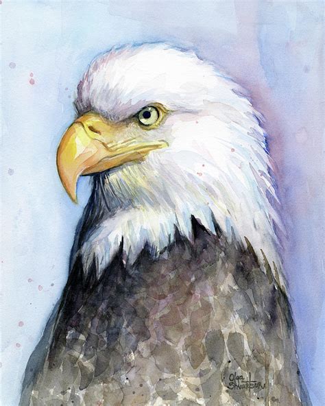 Bald Eagle Portrait Painting By Olga Shvartsur Fine Art America