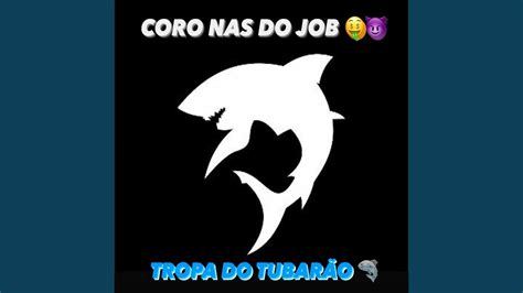 Coro nas do Job X Tropa do Tubarão YouTube