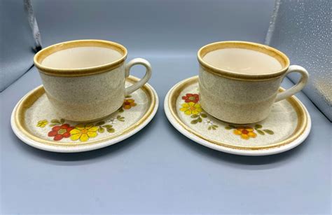 Mikasa Stone Manor FLORIBUNDA F5800 Two Cup And Saucer Sets Perfect Etsy