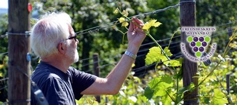 Weinfreunde Bad Nauheim Home